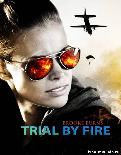 Испытание огнем/Trial by Fire/ (2008)